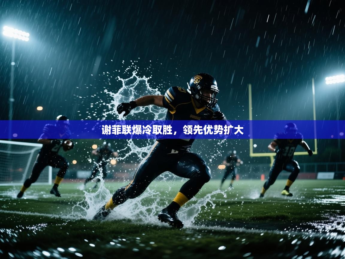 谢菲联爆冷取胜，领先优势扩大  第2张