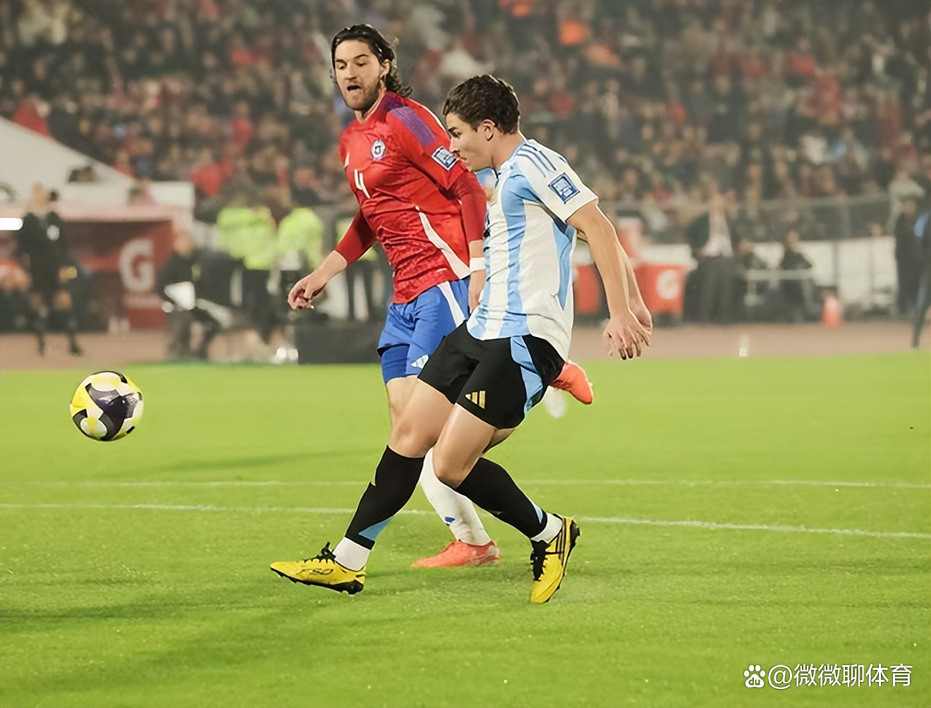 南美篮球精英球员大放异彩，引爆赛场